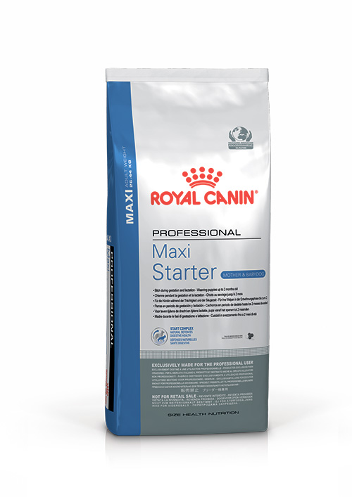 Упаковка Royal Canin Maxi Starter   